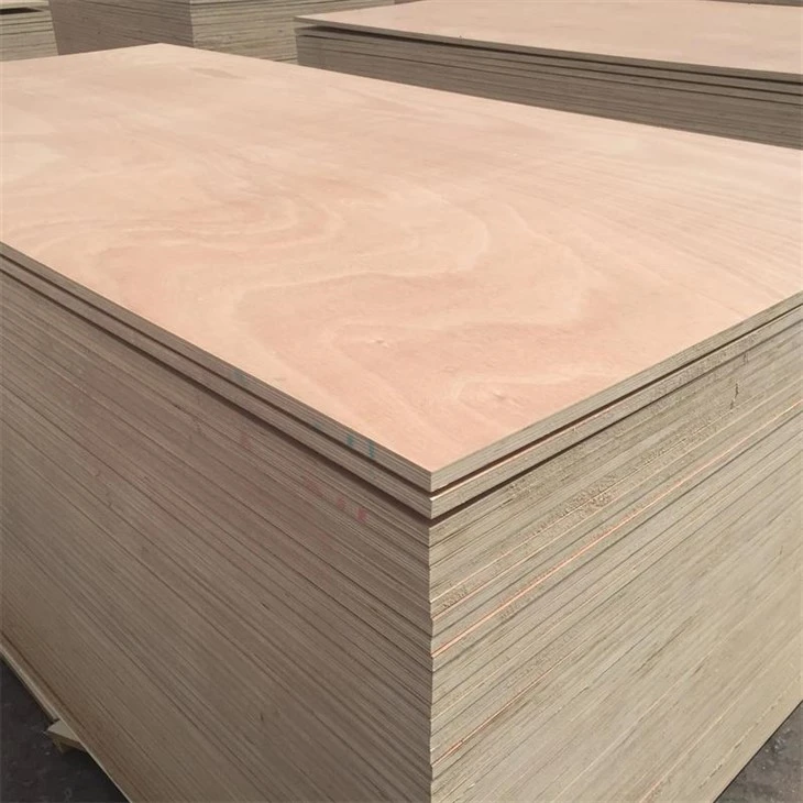 Placaj exterior 4 X 8